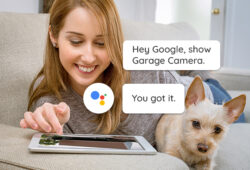 Reolink ve Alexa Entegrasyonu: Sesli Komutlarla Güvenlik Yönetimi