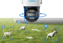 Reolink Kamera ile Hayvan Takibi: Gerçek Kullanıcı Hikayesi