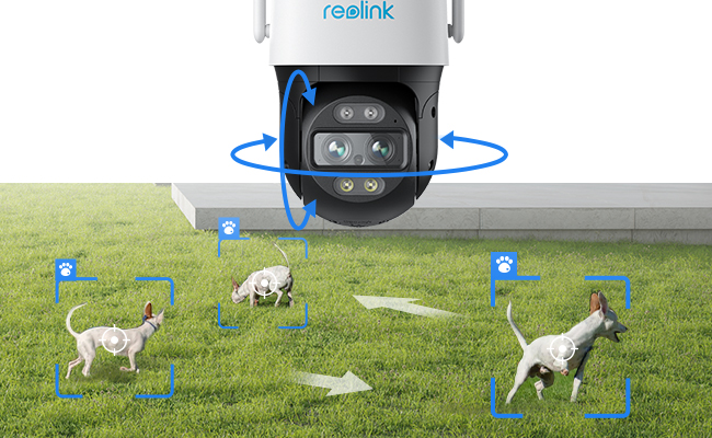 Reolink Kamera ile Hayvan Takibi: Gerçek Kullanıcı Hikayesi
