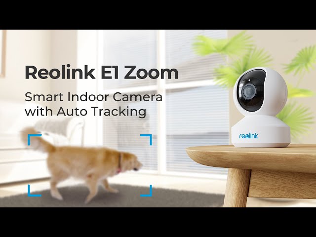 Reolink Kamera ile Hayvan Takibi: Gerçek Kullanıcı Hikayesi